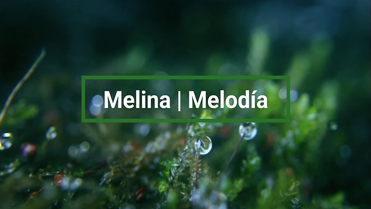 Melina | Melodía