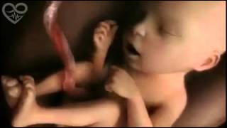 9 Mois En 4 Minutes Cette Video Retrace L Evolution D Un Bebe Dans Le Ventre De Sa Mere Youtube 9 Mois En 4 Minutes Cette Video Retrace L Evolution D Un Bebe Dans Le Ventre De Sa Mere Youtube