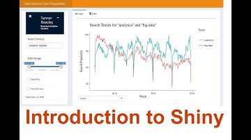Working with Data - Building a Shiny App for Dynamic Visualization