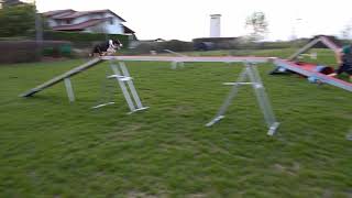 Never Never Land Rgriffin