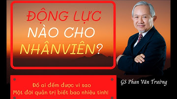 Động lực nào cho nhân viên? l GS. Phan Văn Trường l Cấy Nền Radio