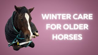 Winter Care for Senior Horses