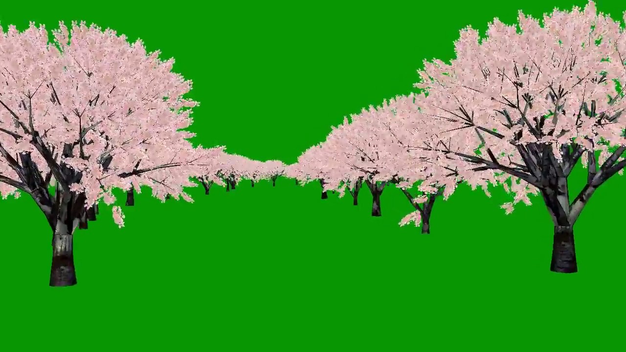 Green Screen Trees Effects Free Youtube