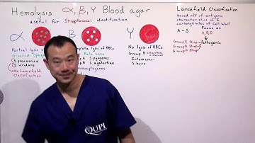 Streptococci Differentiation through use of Hemolysis and Lancefield