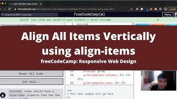Align All Items Vertically using align items (CSS Grid) freeCodeCamp tutorial