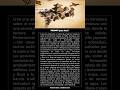 Tokio, prompt genial para Veo #AI #prompt #IA #digitalmarketing #viral #marketingviral