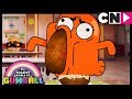 Gumball | Darwin's Potato Diet | The Potato | Cartoon Network image