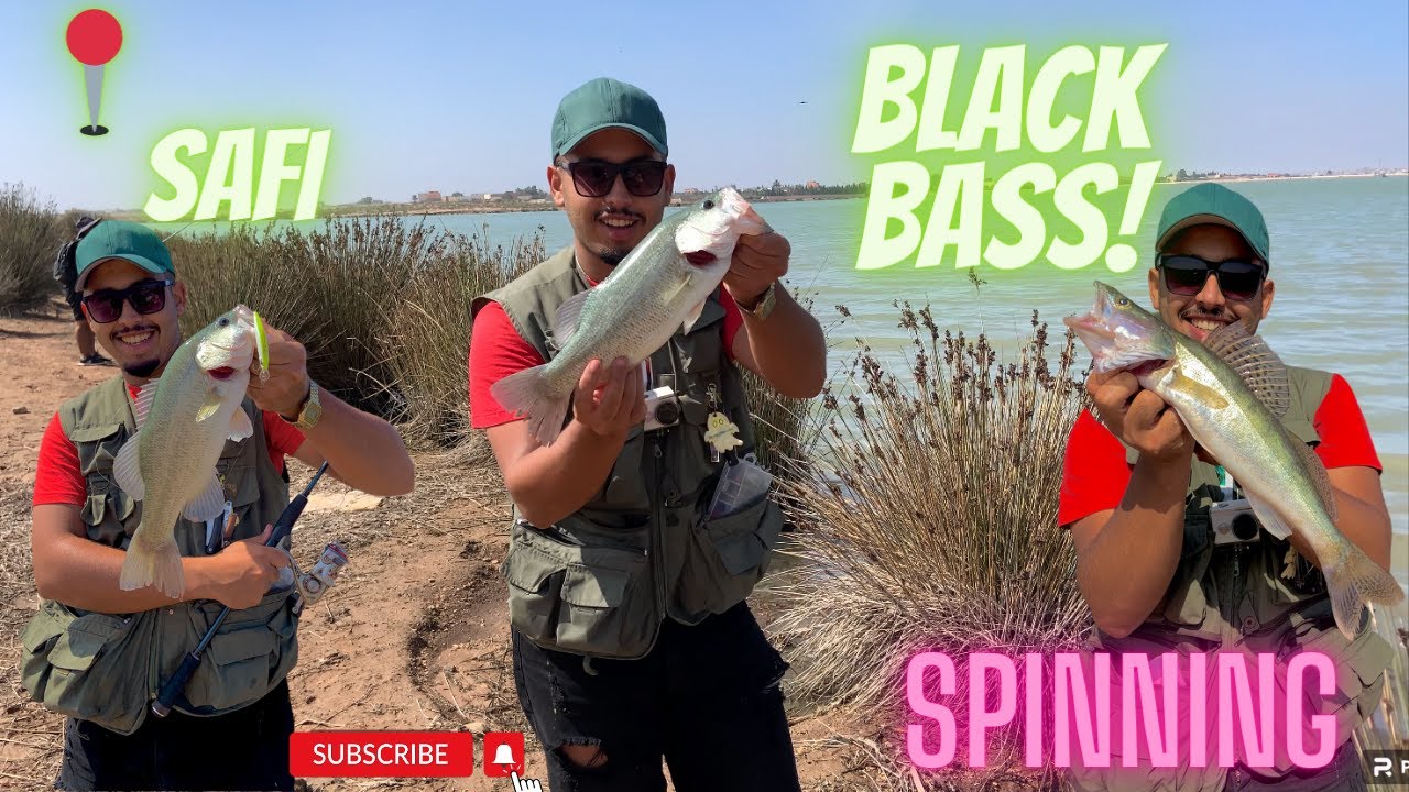 RAYS fishing spinning black bass morocco صيد سمك البلاك باص في المغرب YouTube