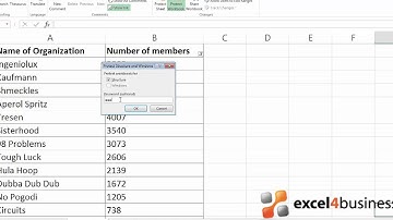 How to Protect a Workbook with a Password in Excel 2013