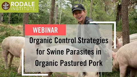 Webinar: Organic Control Strategies for Swine Parasites in Organic Pastured Pork