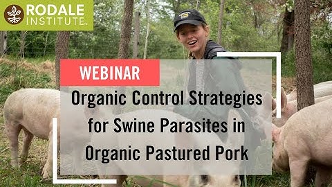 Webinar: Organic Control Strategies for Swine Parasites in Organic Pastured Pork