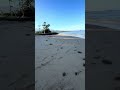 South Maui morning walk ..Aloha#maui #aloha #beach #luckywelivemaui #hawaii