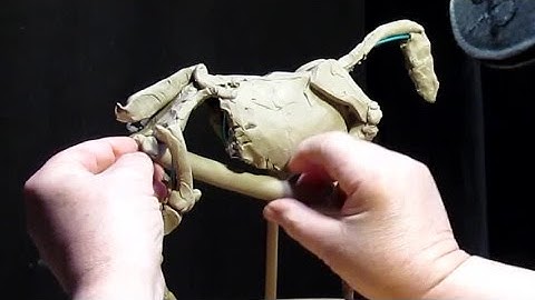 Starting the Horses Body In My 10th Instructional DVD