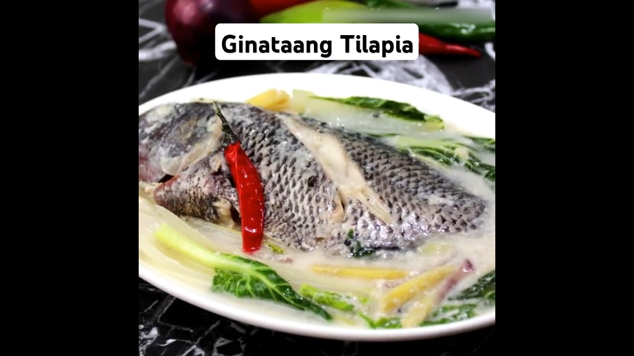 Ginataang tilapia recipe | How to cook ginataang tilapia 