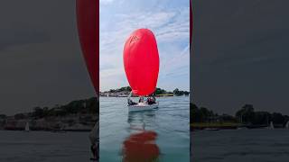 That Moment the Spinnaker Catches the Wind #sailing #spinnaker #shorts