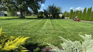 Ferris F210Z In Action