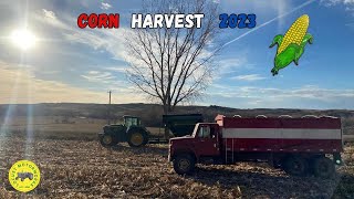 John Deere Harvesting Corn (2023)