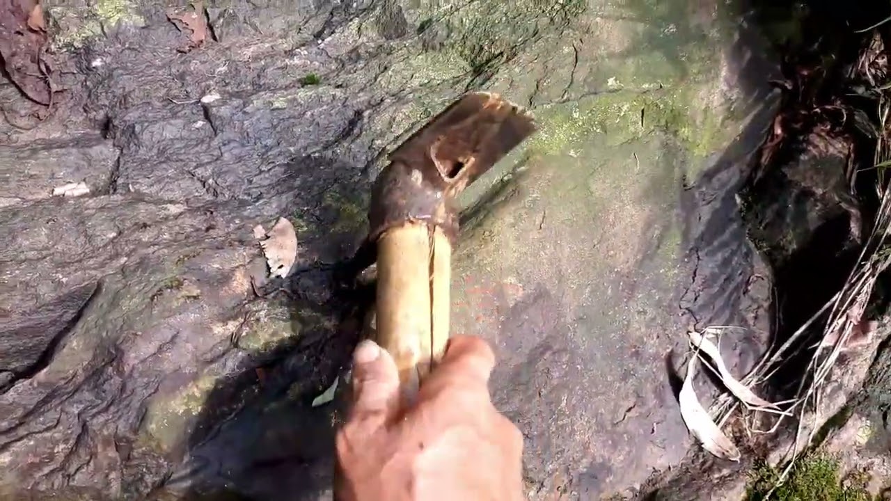 một ngày đẹp trời Đi dò vàng_abeautiful day go gold prospecting