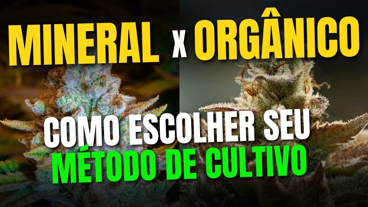 Orgânico x Mineral? Qual é o melhor método de cultivo?