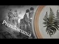 1895 Botanical Glue Recipe and Victorian Fern Art