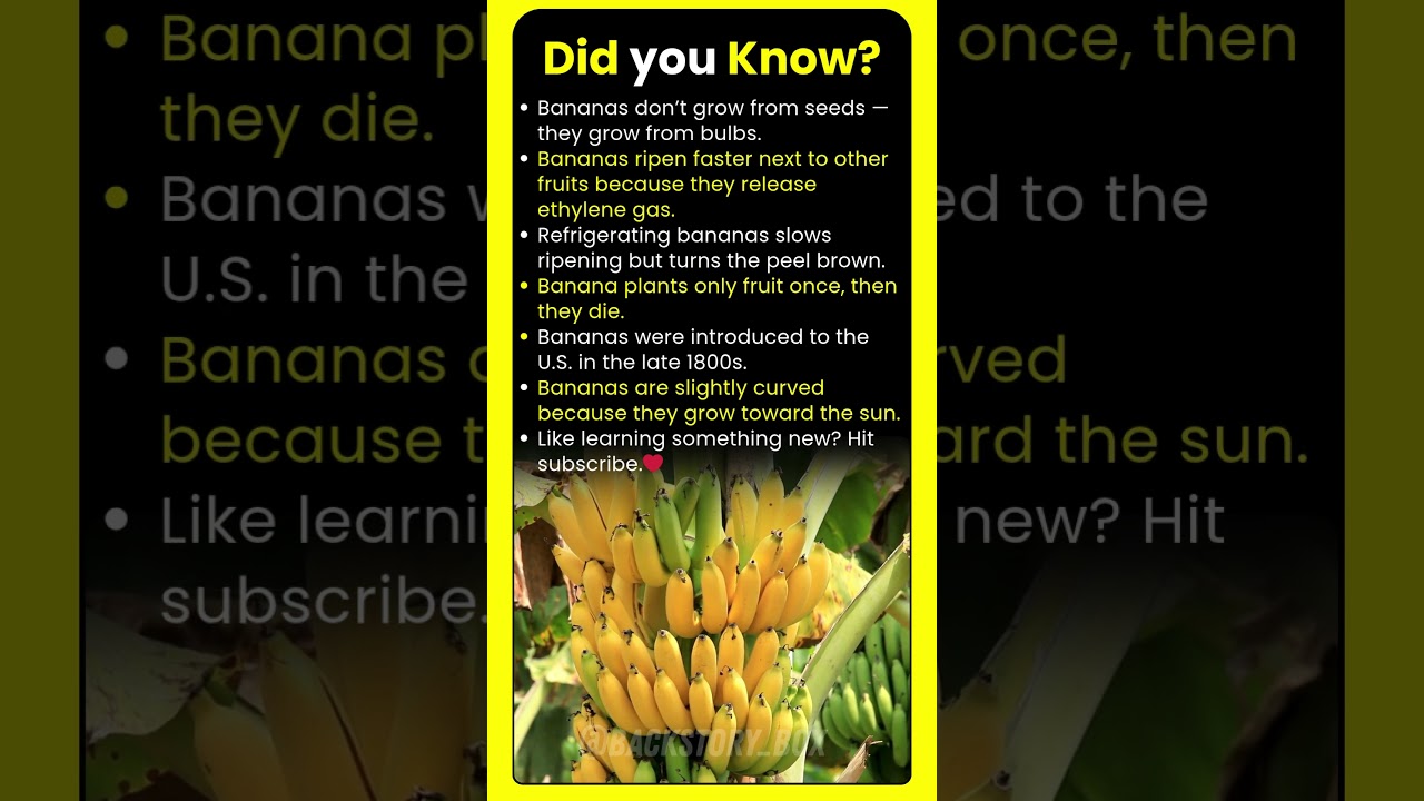 Did you know this facts about BANANA?