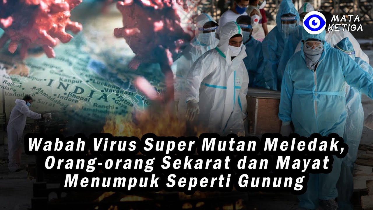 Wabah Virus Super Mutan Meledak Orang  orang  Sekarat  dan 