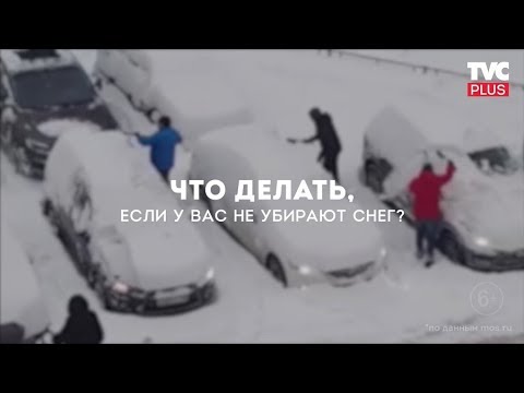 Что делать, если не убирают снег?