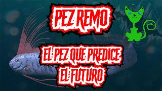 ¿REALMENTE EL PEZ REMO PREDICE EL FUTURO?