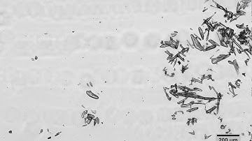 oCelloScope - Crystal dissolution time-lapse