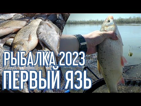 Рыбалка 2023. С фидером на реке. Ловля язя и леща.