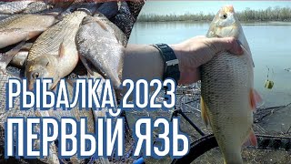 Рыбалка 2023. С фидером на реке. Ловля язя и леща.