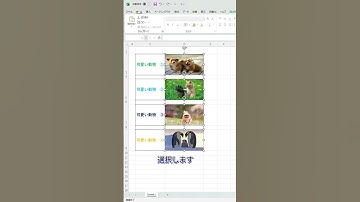 セルに埋め込んだ画像サイズが行幅列幅を変えても自動で調整される方法 #エクセル便利技 #エクセル #excel #ecotechjp #エクセル初心者