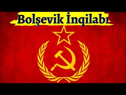 Video: İntrovertlər üçün sığınacaq: Skeleton sahilindəki oteli nə cəlb edir - yaşayış yerlərindən çıxmağın mümkün olduğu bir yerdə