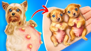 HELP! MY DOG IS PREGNANT *Useful Pet Gadgets That Will Solve All Your Daily Problems*