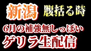 【ゲリラ生配信】６月補強無さそうなんで、もう覚悟しましょう…【Jリーグ移籍市場/アルビレックス新潟】