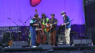 Wild Horses - Sam Grisman Project at Strawberry 2023
