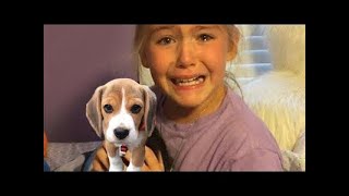 Puppy Surprise Compilation | TikTok Dog Surprise Compilation | Try Not to Cry by Miyu Animals 🐶 7,914 views 2 years ago 8 minutes, 13 seconds