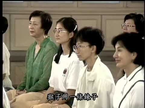 禪修中的空白原因與境界 （聖嚴法師 大法鼓0641）DVD