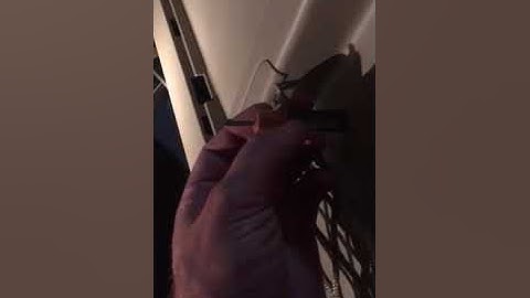 Lexus GX470 Rear Hatch/Door Cargo Net Replacement.