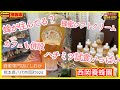 西岡養蜂園 蜂蜜専門店にしおか【試食いっぱいのハチミツ専門店】激うま蜂蜜ソフトクリームに誘われてちょっと寄ってみたら甘くて楽しくて最高すぎたから本気で進めたい！
