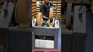 Cheese Wheel Machine Cleaning Twin Wheels During Dairy Work