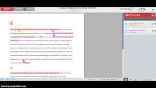 Turnitin Demonstration