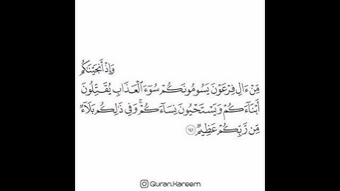القارئ ماهر المعيقلي - سورة الأعراف - الآية 141