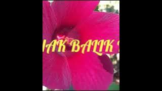 Anak Balik Na with lyrics-Christian Song