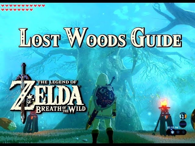 Lost Woods Guide Zelda Breath Of The Wild Youtube