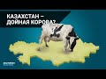 КАЗАХСТАН – ДОЙНАЯ КОРОВА? / Точка зрения (20.05.21)