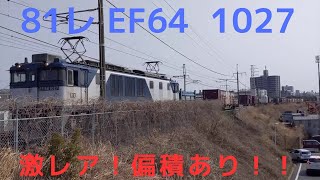 81レ EF64 1027 激レア編積2つあり！！サービス警笛あり!