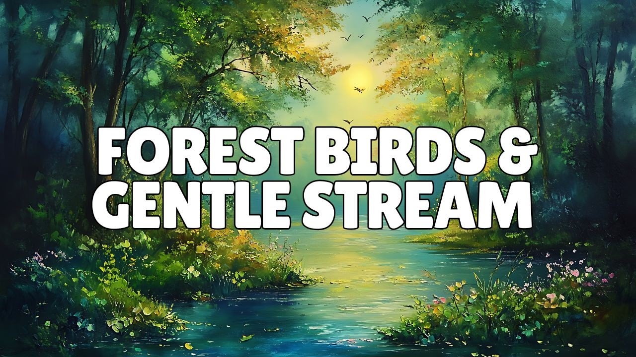 Forest Birds & Gentle Stream 🌿 Relaxing Nature Sounds For Sleep, Study & Calm (10 Hours)