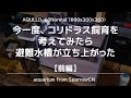 今一度、コリドラス飼育を考えてみたら避難水槽が立ち上がった－前編