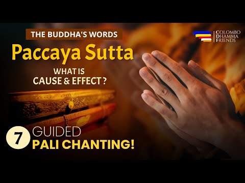 Paccaya Sutta | Dependent Origination - Cause and Effect | Guided Pali Chanting by Buddhist Monks